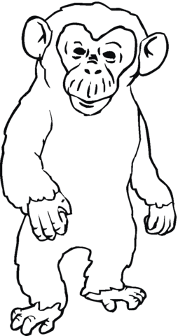 Angry Chimpanzee  Coloring Page